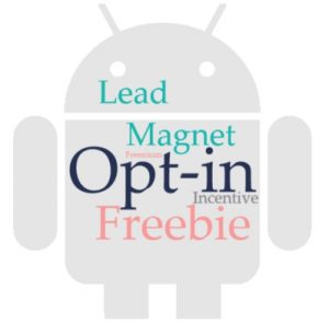 Opt-in Incentive, Lead Magnet, Opt-in Freebie