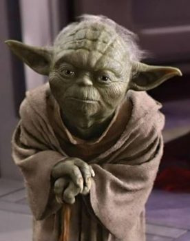 Yoda