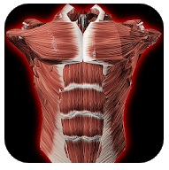 visual information - app anatomy